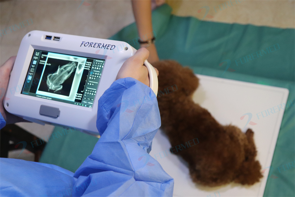 Mini Veterinary X Ray Machine  - đánh giá và giá Vet Tech Accessories