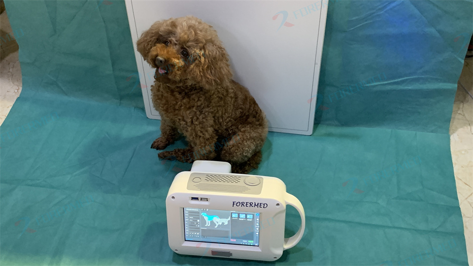Mini Veterinary X Ray Machine  - đánh giá và giá Vet Tech Accessories